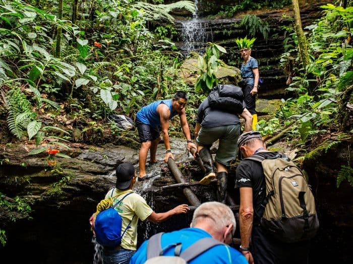 amazonas archidona djungle ecuador vivideo 884 - Exploring the Amazonas in Archidona, Ecuador