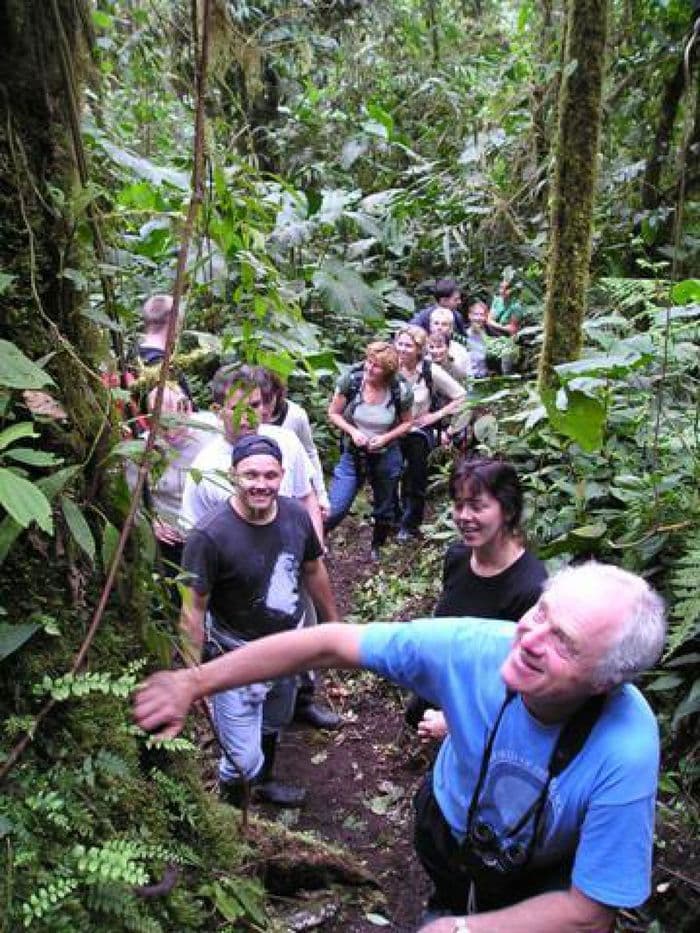 Richard und die Reisenden im Nebelwald