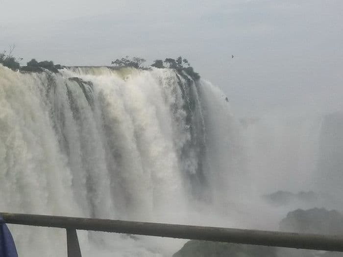 image - 6ee94c8d-7de6-45f5-820a-5c593e5923f5