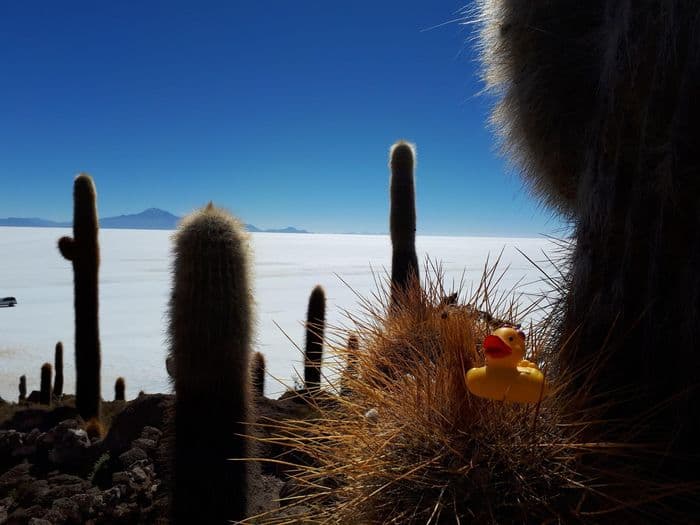 Die Isla Inca Huasi wird heute