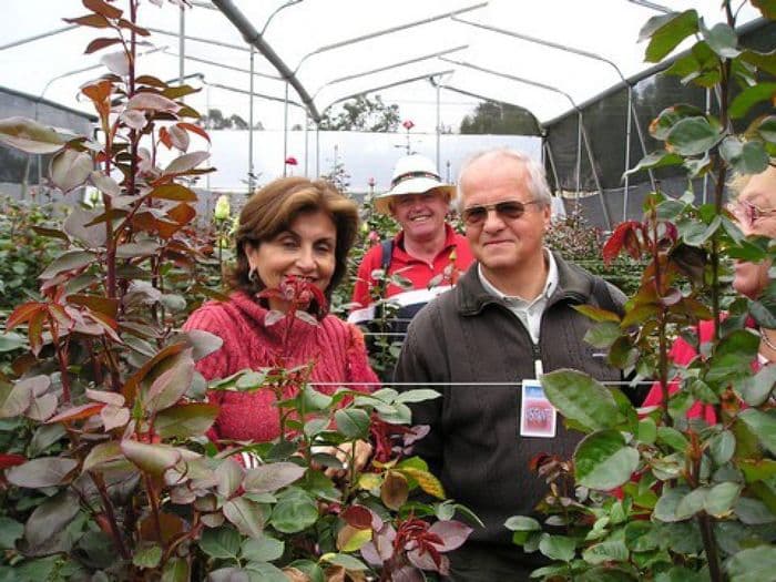 In der Rosenfarm