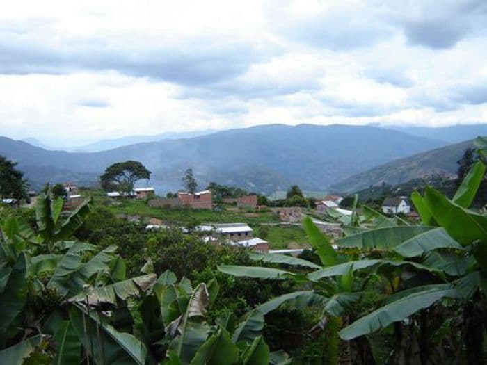 Süd-Yungas