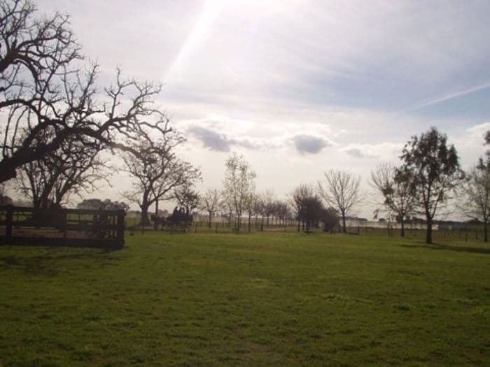 Morgens auf der Estancia