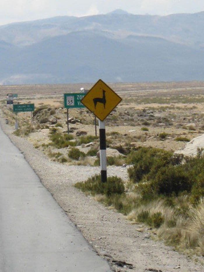 Natur Reservat fuer Vicuñas