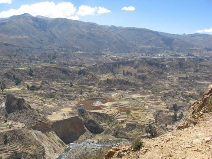Terassen im Colca-Tal