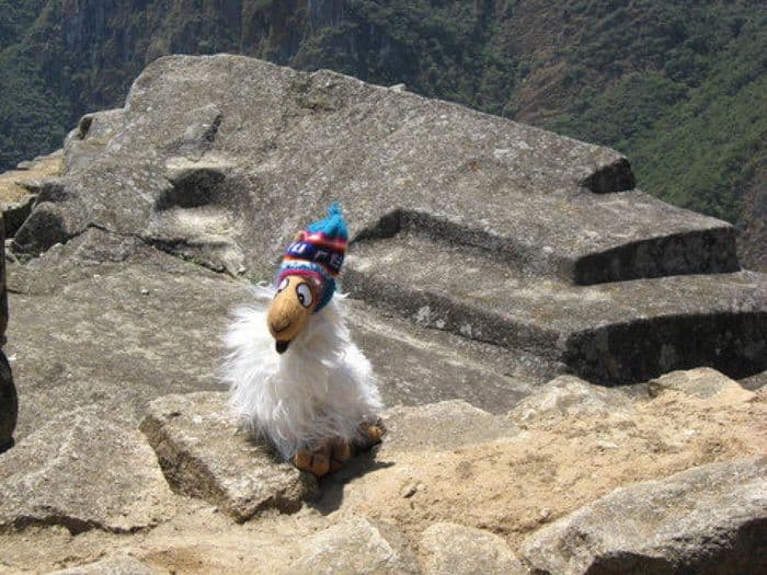 Pepe in Machu Picchu
