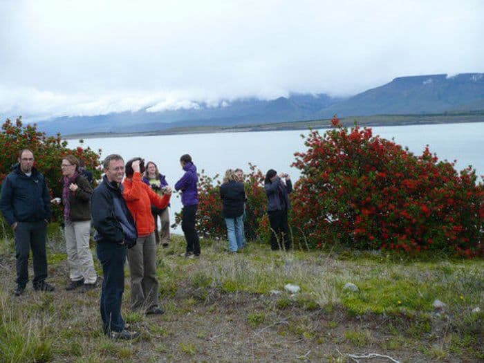 Lago Argentino