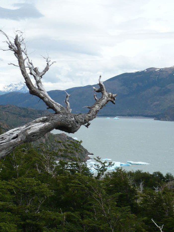 lago