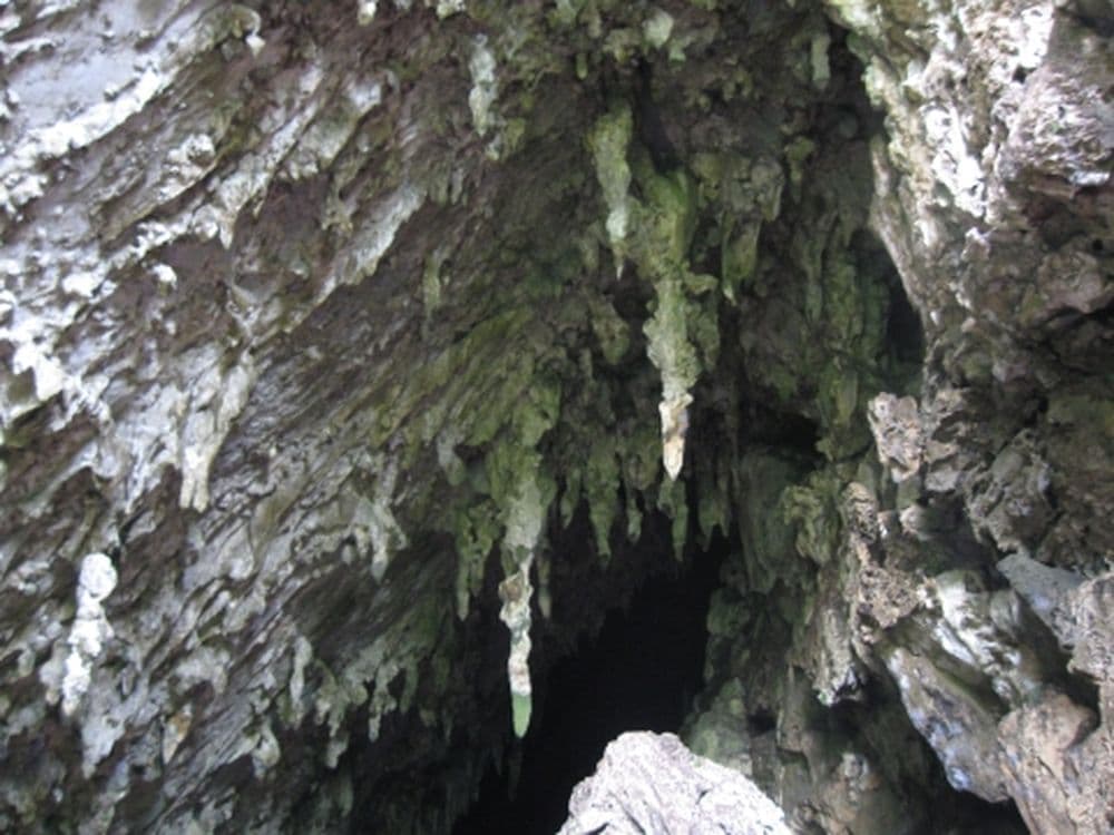 Cordillera del estado Sucre
