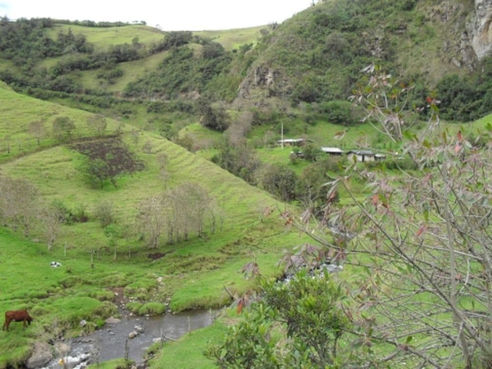 Entre Popayan y San Agustín
