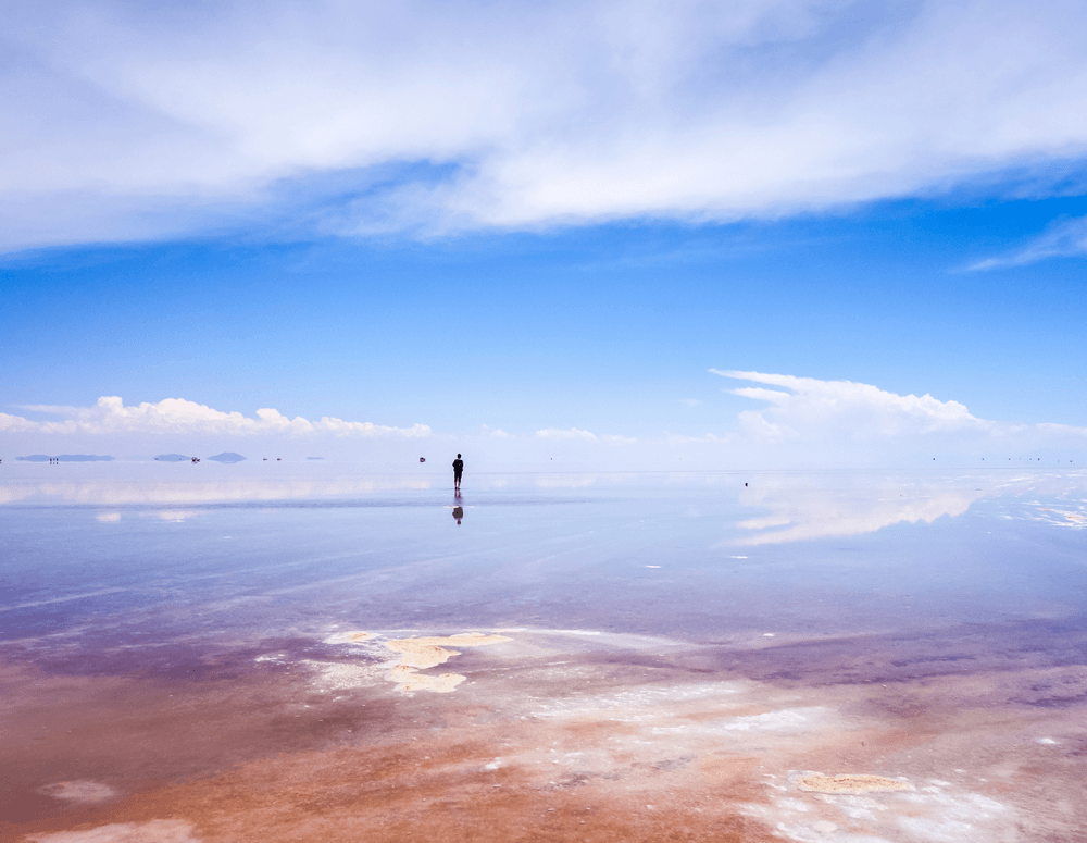 4-Sep-20-2022-12-55-12-70-PM