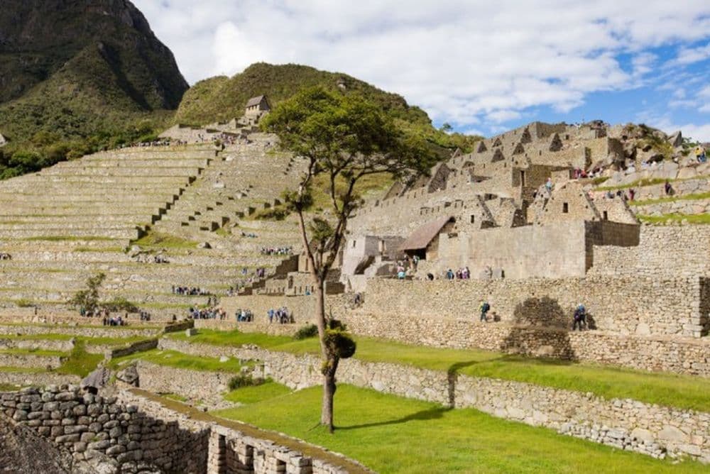 Machu Picchu