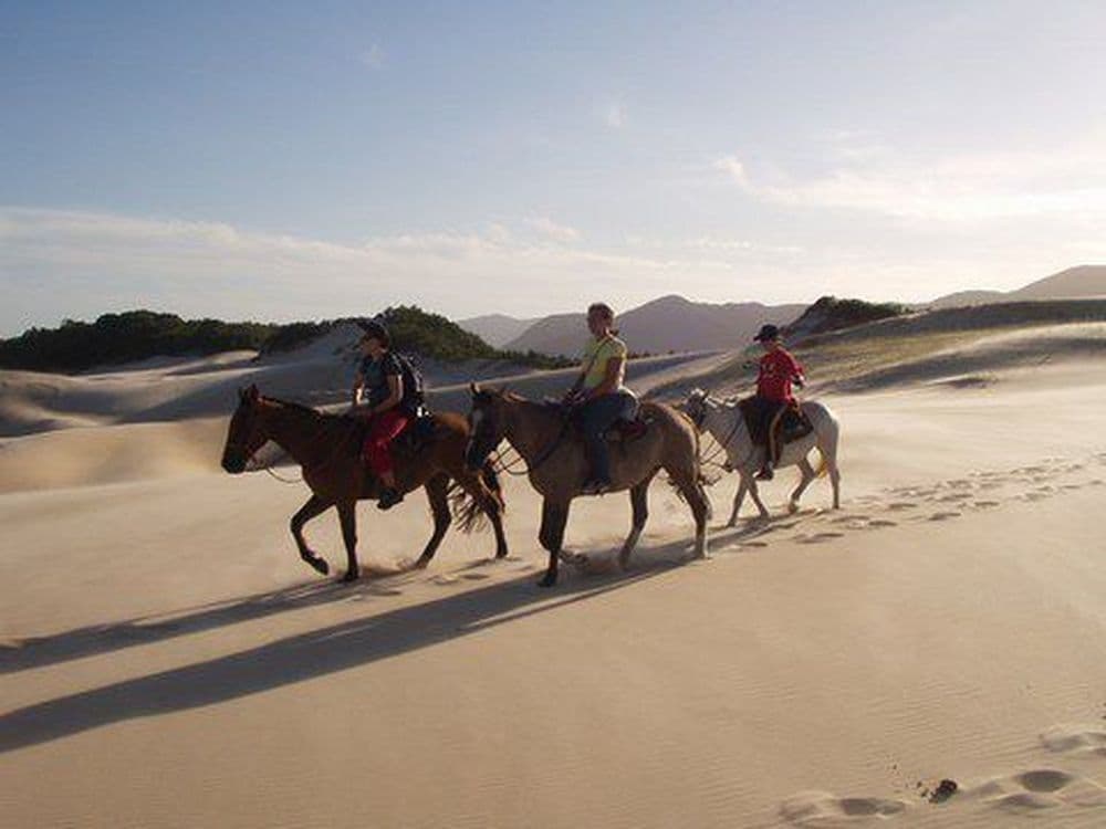 Florianópolis_abcd-480-38581