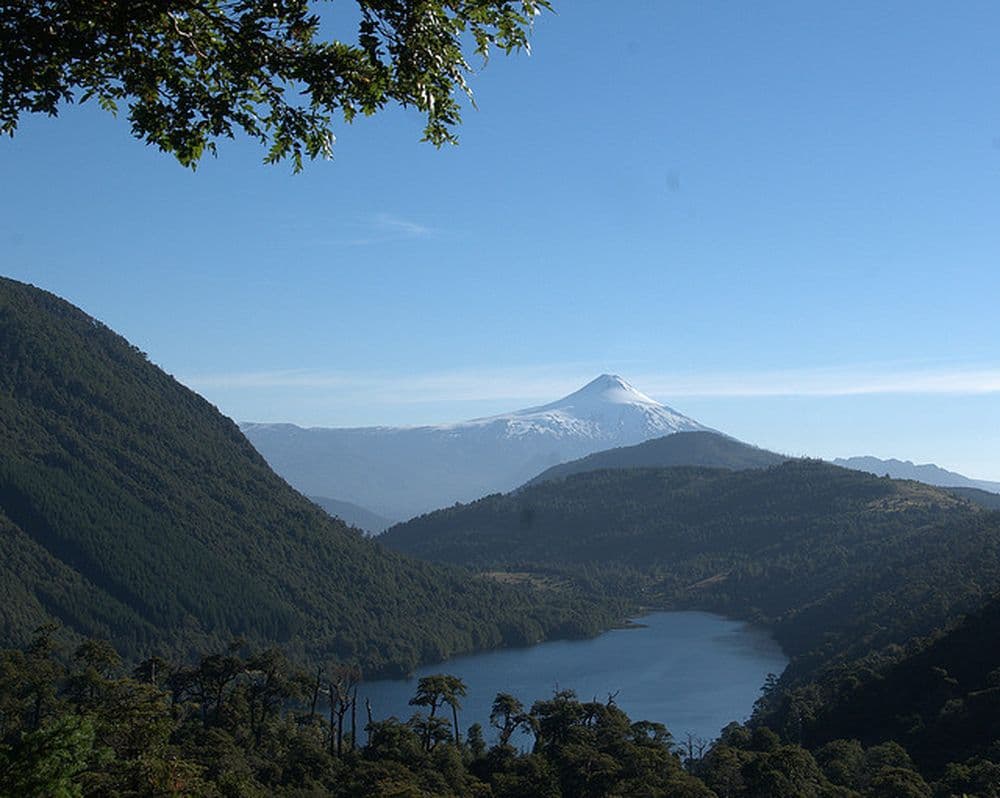 lago.villarica.bird.brain.flickr