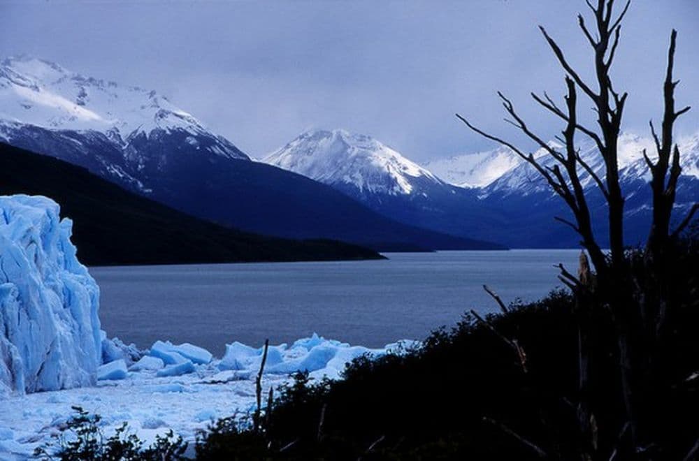 los.glaciares.patagonia.dominic.alves.flickr