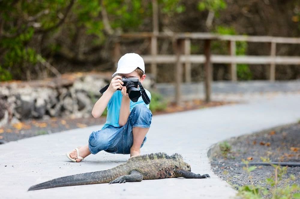 Places to go for Christmas - the best Christmas destinations: Galapagos