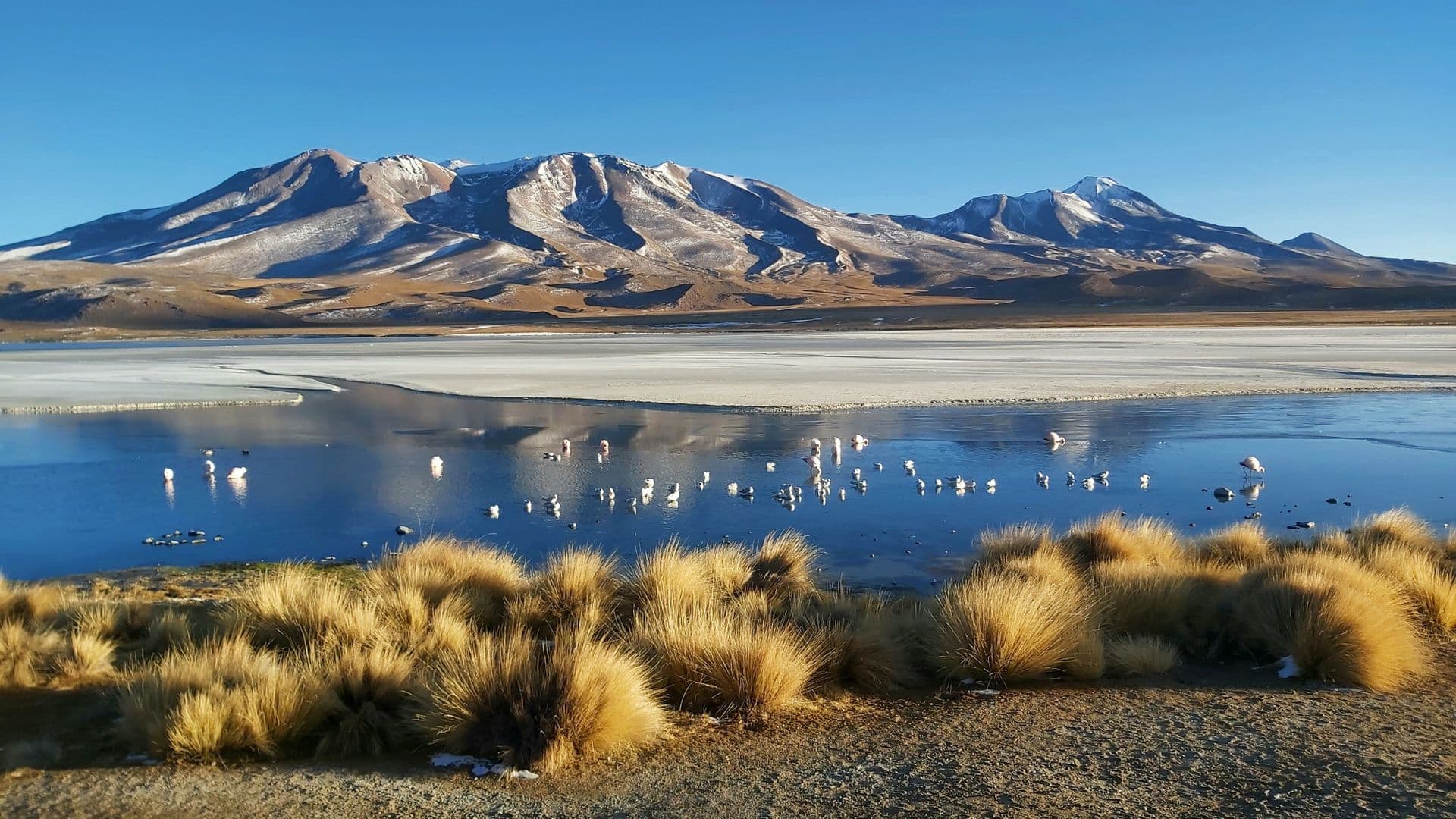 Lagoon in Bolivia