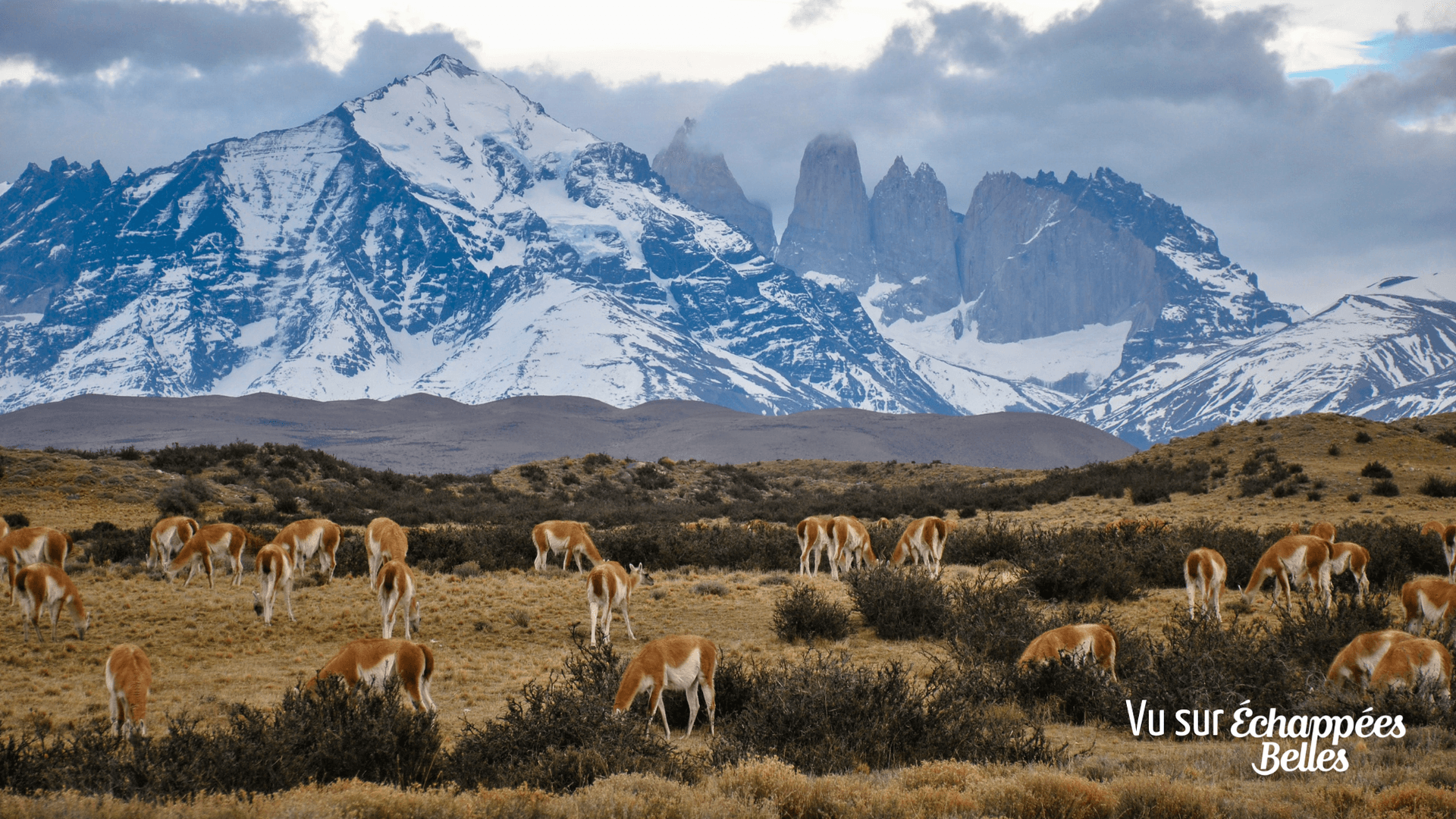 Patagonia-echappees-belles
