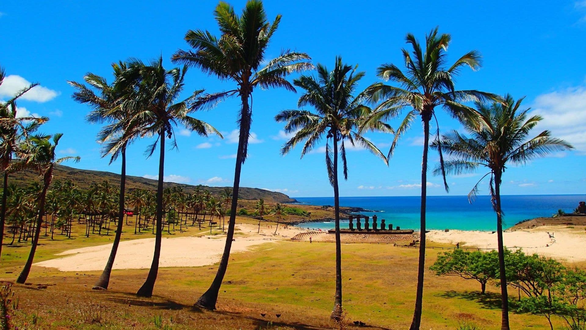 Anakena beach