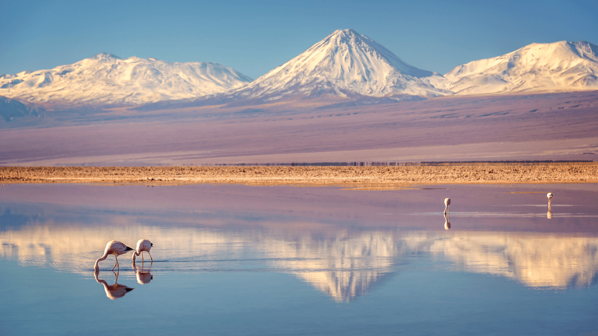 Stimmen Sie sich auf Chile ein: mit unseren Buch- und Filmtipps