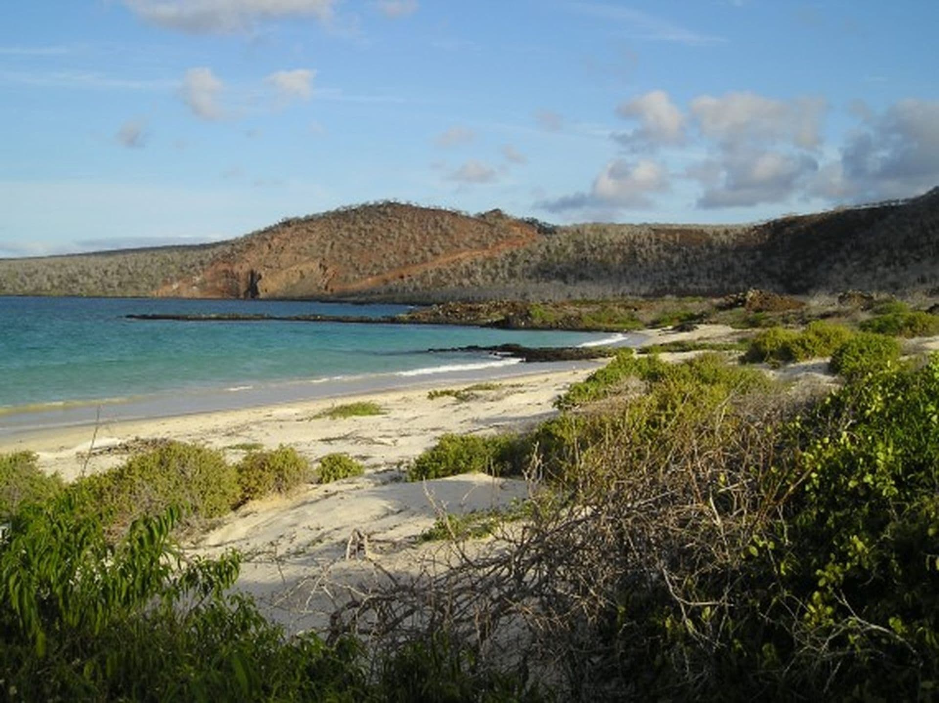 047 Strand Floreana