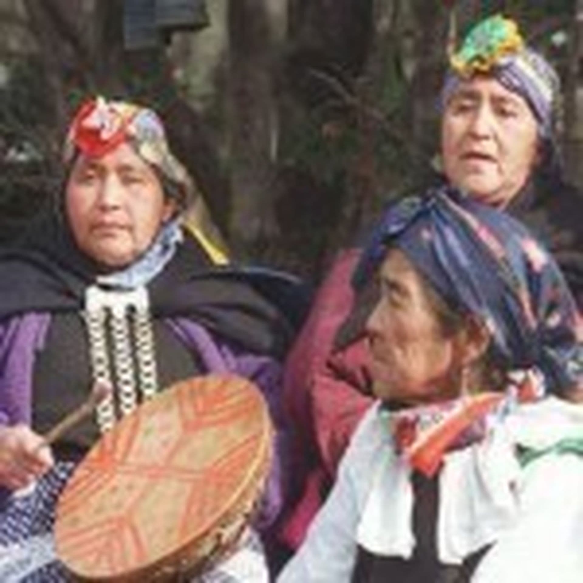 Mapuche - Was verbirgt sich hinter dieser Kultur?