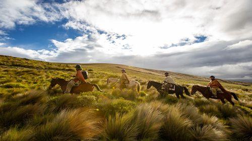 Horseback riding active Ecuador