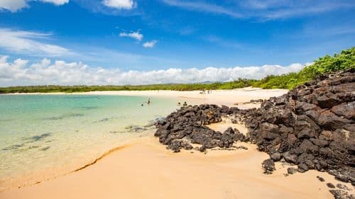 Galapagos Beach