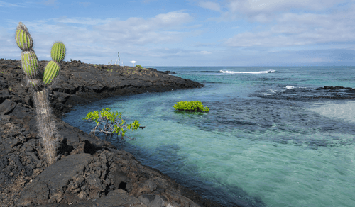 isla_isabela_equateur