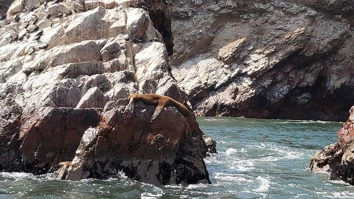 Ballestas
