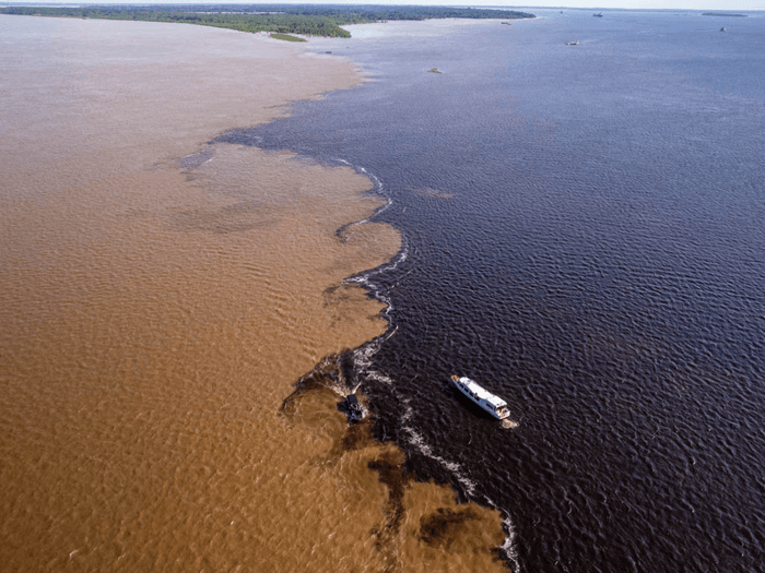 Manaus