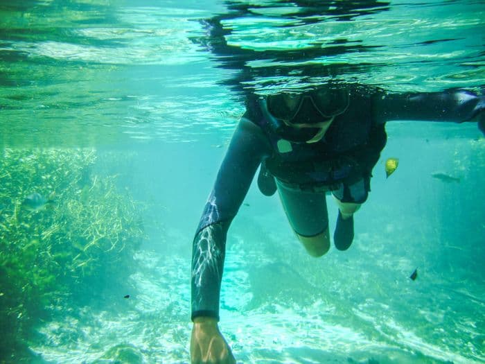 Snorkeling Bonito Brazil 