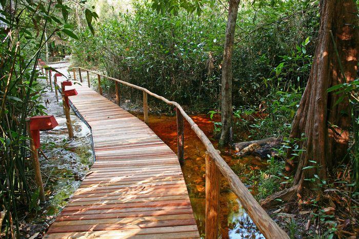 Amazon Ecopark 