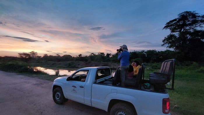 Pantanal