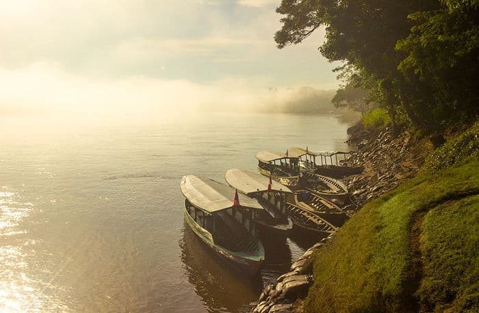Tambopata reserve