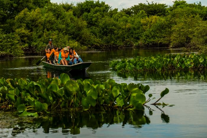 Pantanal