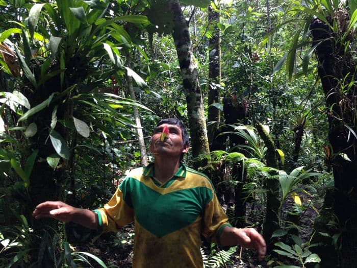 tambopata peru