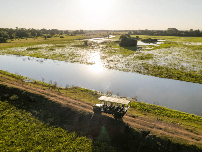 Pantanal