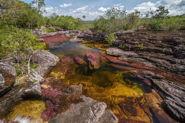 Caño cristales