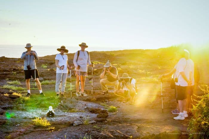 A group of Galapatours clients observing a Nazca Booby in Genovesa, Galapagos