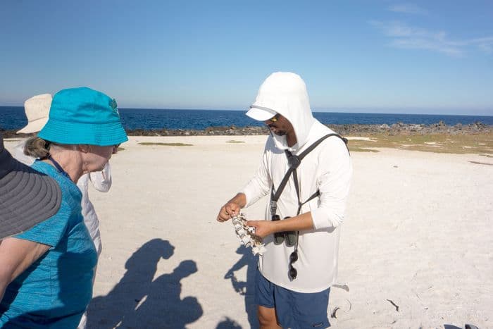 Santa Cruz - Bachas Beach - samba galapagos cruise - gal0052