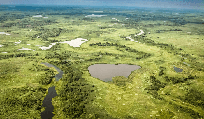 CSR biodiversity – Pantanal wetland