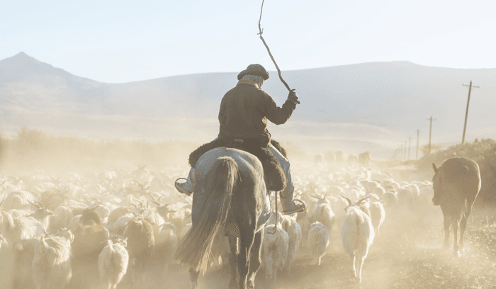 gauchos-pampa-argentine