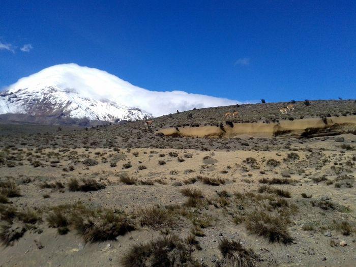 Der „Chimborazo“ Vulkan ist da