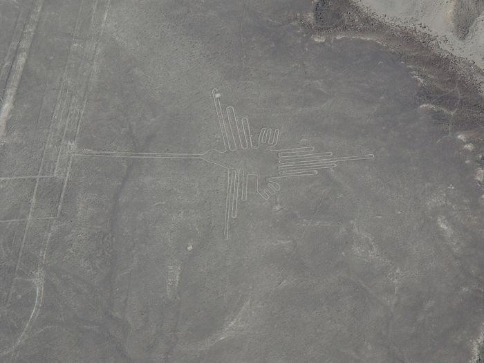 Colibrí - Nazca Linien