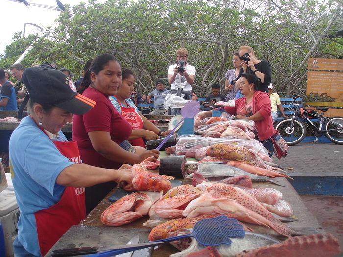 Täglichen Fischmarkt in Puerto