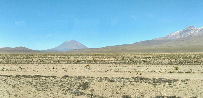 Wir verlassen Arequipa und fah