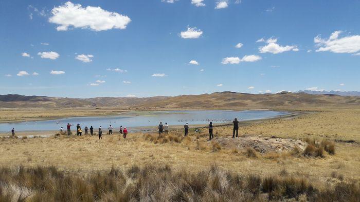 Die Altiplano-Landschaft auf d