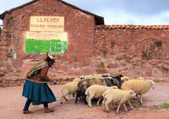 Wir sind in Llachon am Titicac