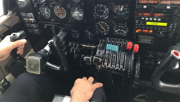 Frank als „Co-Pilot“ beim Flug